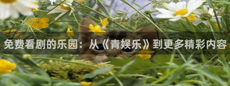 申慱sunbet手机版登管理网