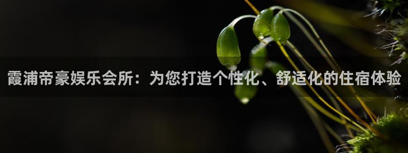 申慱sunbet手机版登管理网