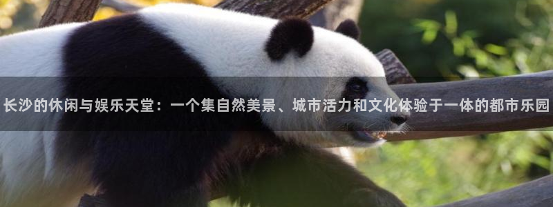 sunbet官网手机版