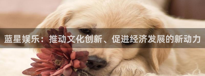 申搏sunbet官网手机版