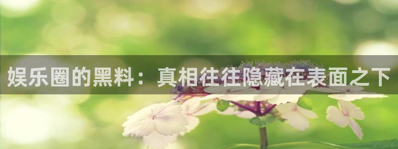 申慱sunbet苹果app